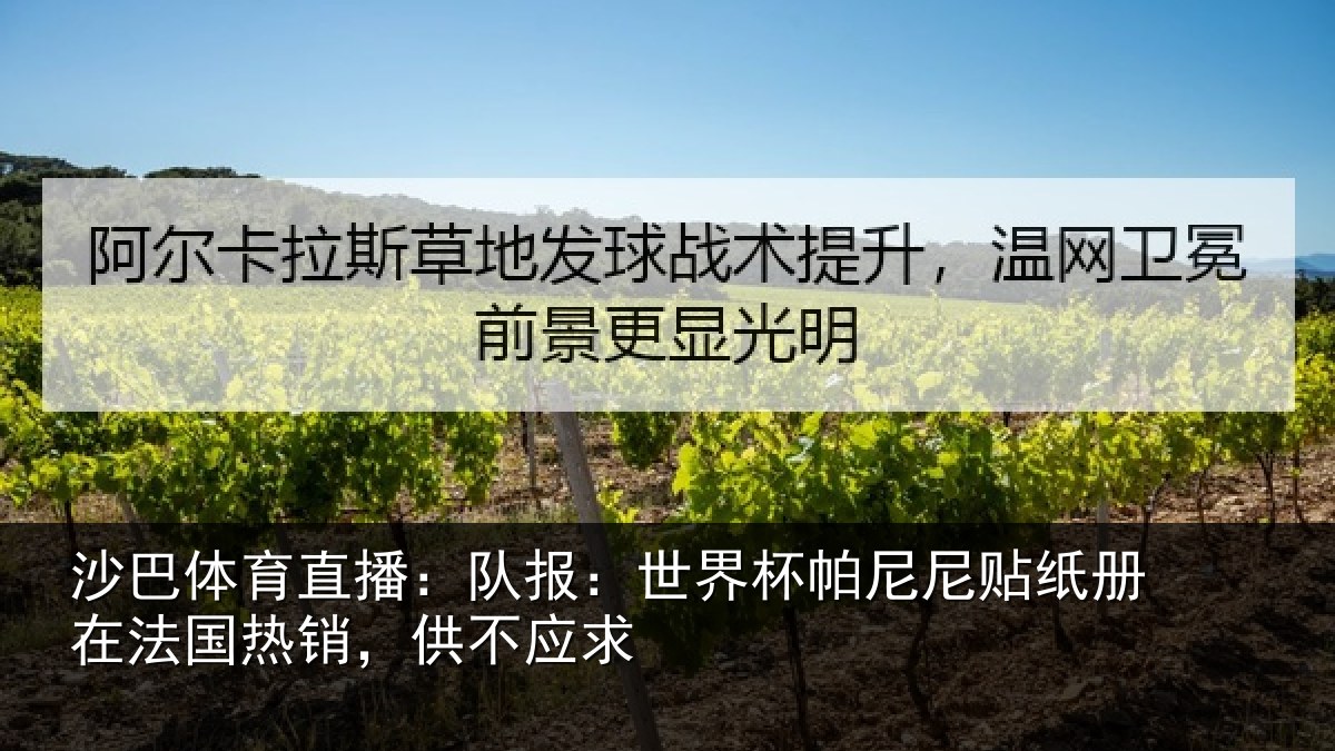 沙巴体育直播:队报:世界杯帕尼尼贴纸册在法国热销,供不应求