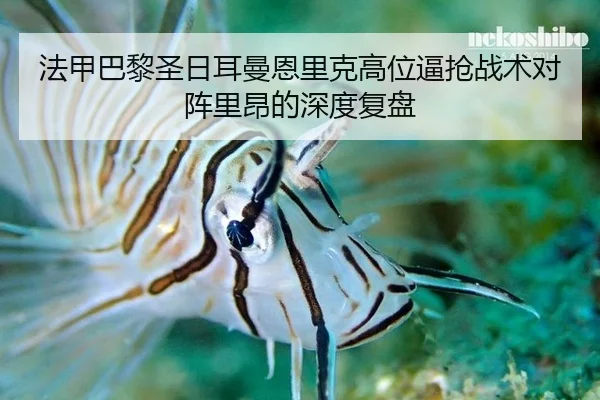 法甲巴黎圣日耳曼恩里克高位逼抢战术对阵里昂的深度复盘